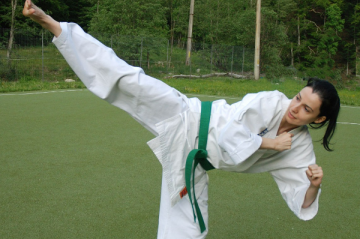 McElroy's Martial Arts Academy - Girl Karate Kick
