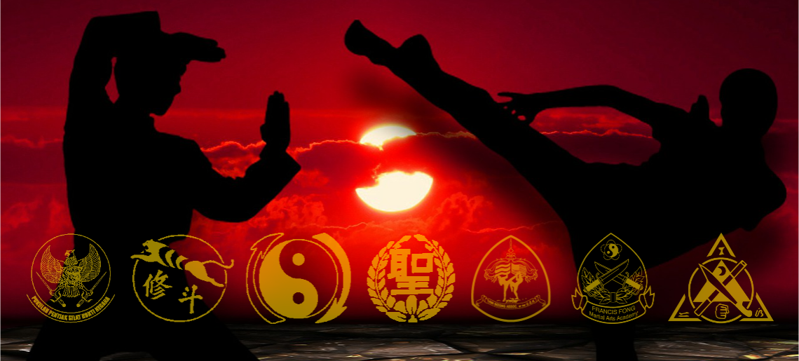 McElroys Martial Arts Academy, Silat, Shoot Wrestling, JKD, USA Muay Thai, Francis Fong Association, Kali