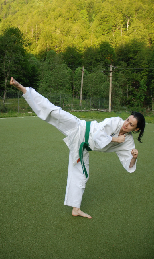 McElroy's Martial Arts Academy - Girl Karate Kick